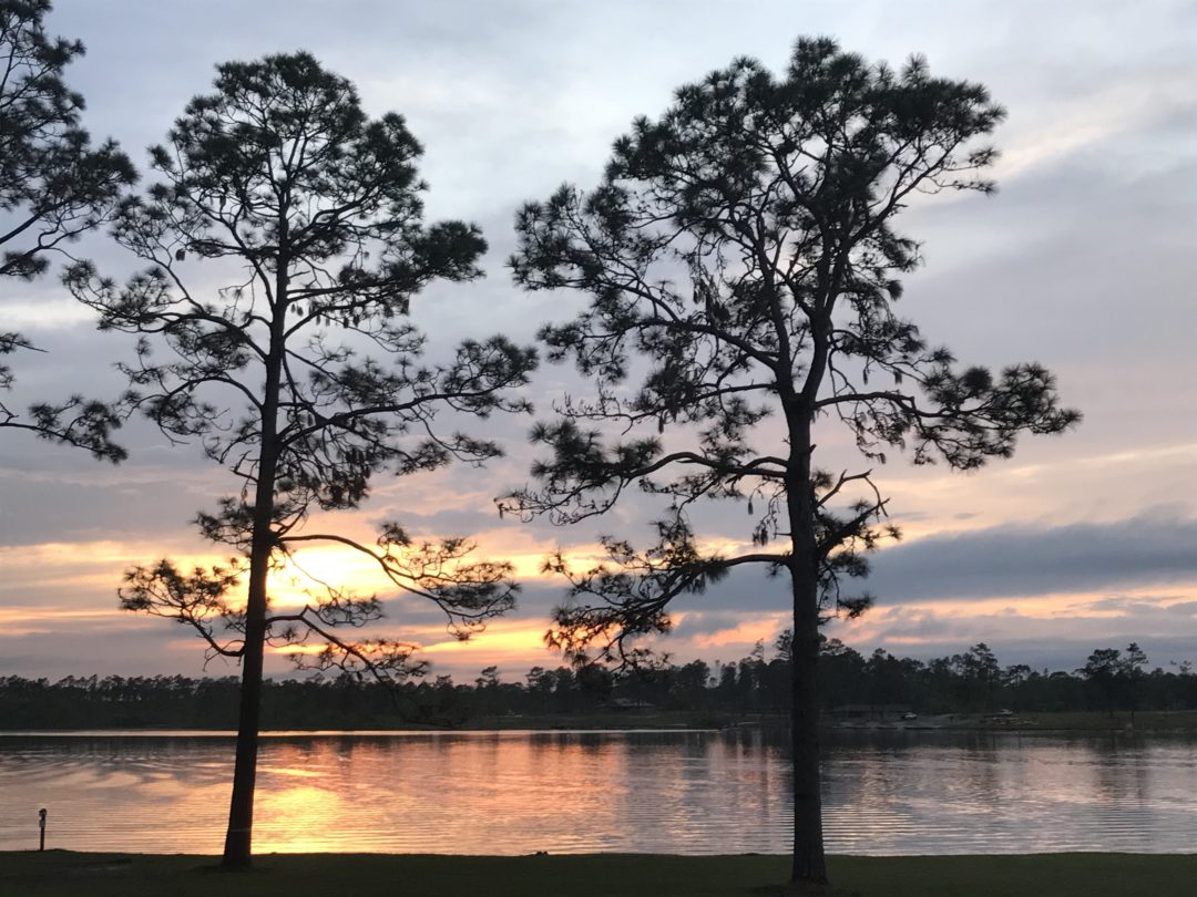 Lake Seminole State Park is the Perfect Weekend Getaway Sowegalive