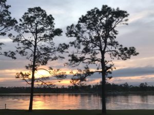 Lake Seminole State Park Is The Perfect Weekend Getaway Sowegalive