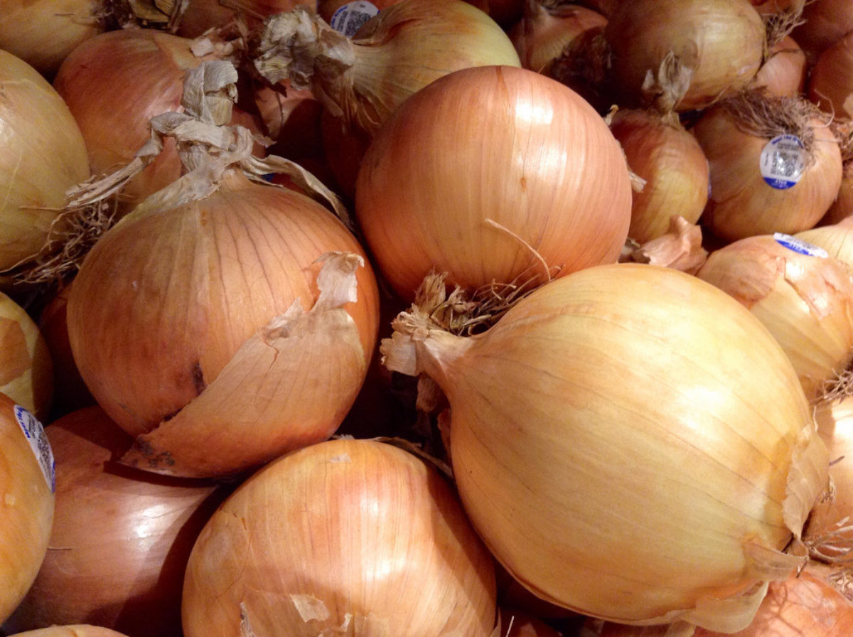 Sweet Vidalia onions set to ship soon Sowegalive