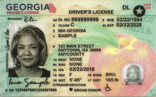 georgia drivers license template free